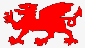 300x171 Welsh Dragon Outline Pic