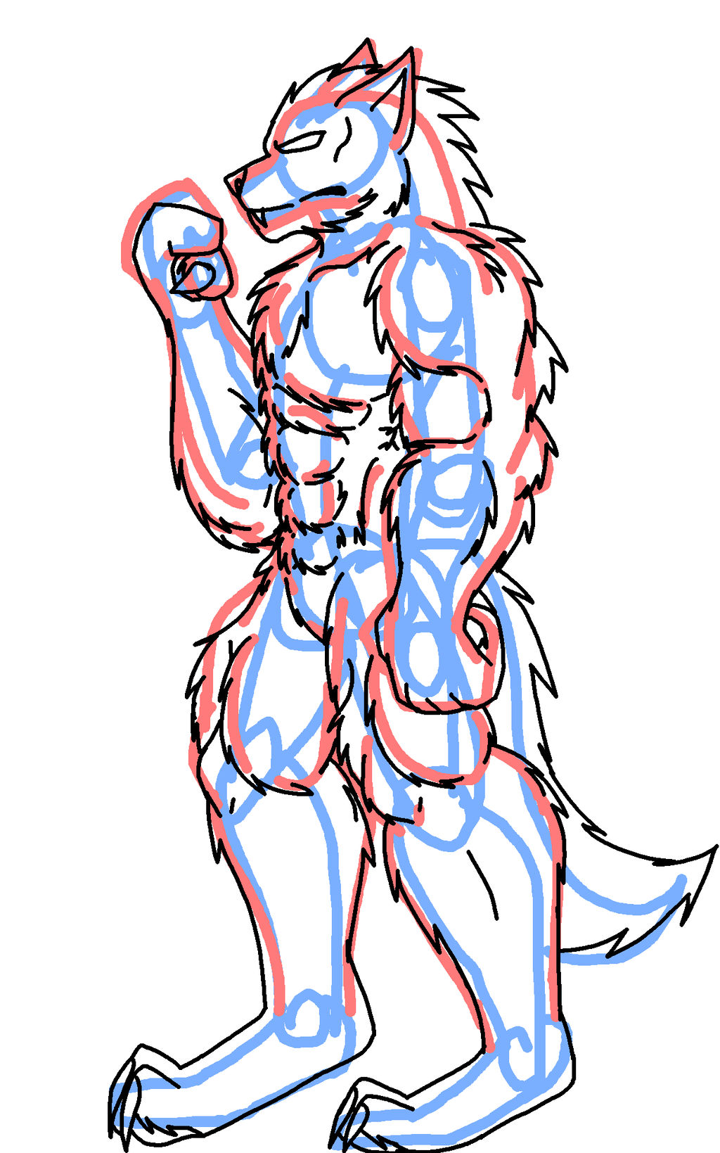 1024x1639 How To Draw Werewolf