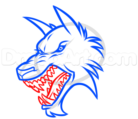 531x456 Werewolf Face Drawing Lesson, Step