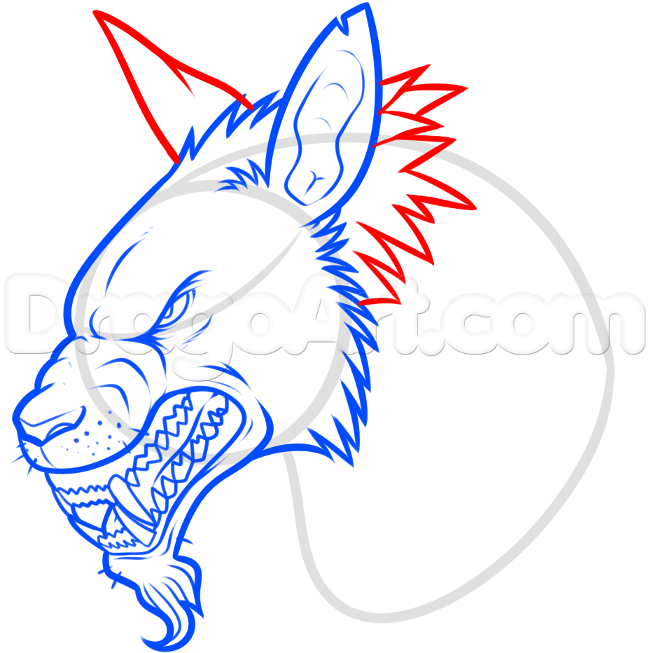 927x932 How To Draw A Werewolf Head Step Drawing Drawings, Online