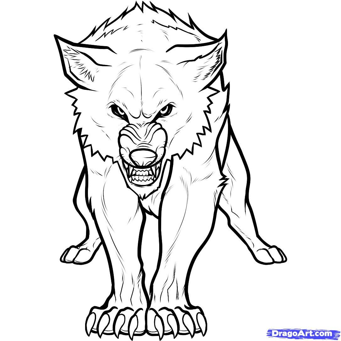 1086x1086 Mandala Wolf Drawing At Getdrawings Free For Personal Use Cute