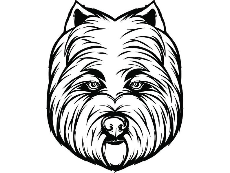 794x597 west highland white terrier smiling dog breed pedigree etsy