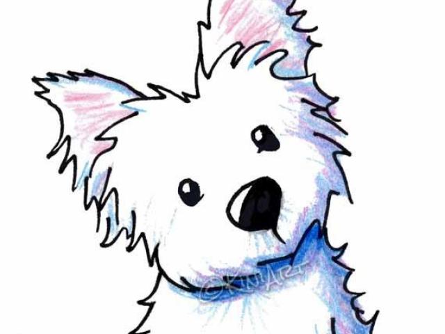 640x480 West Highland White Terrier Clipart Drawing