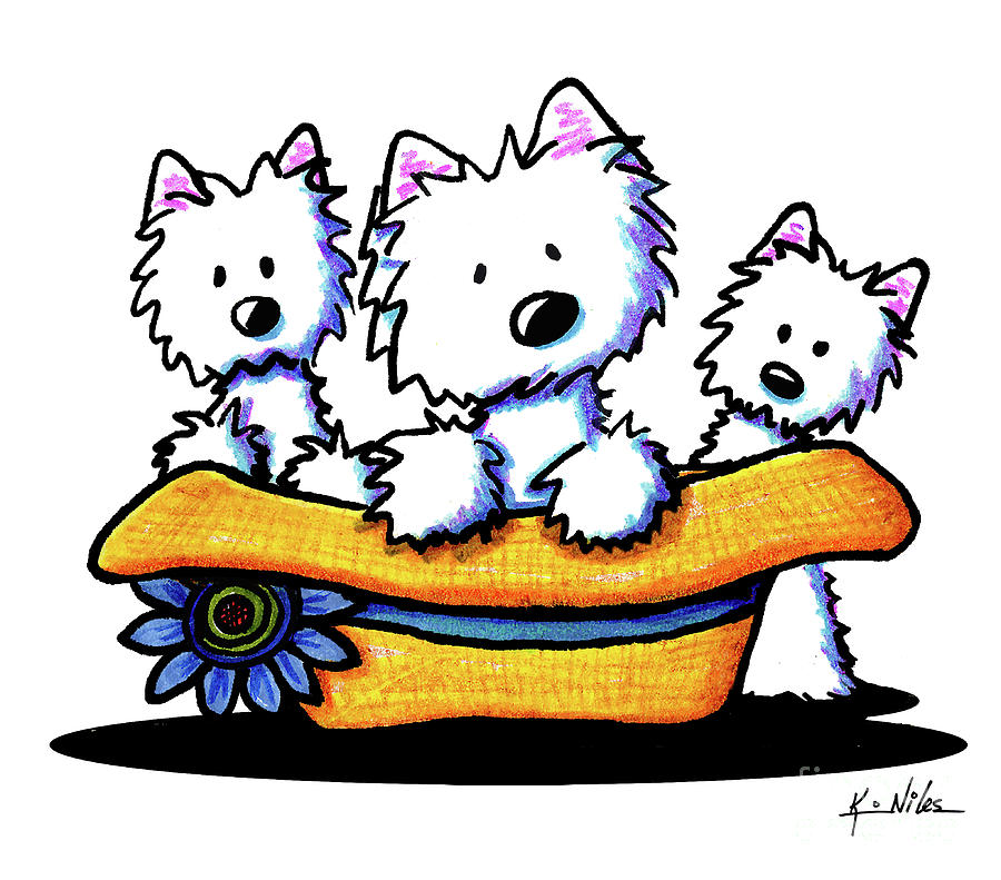 900x791 Westie Hat Trio Drawing