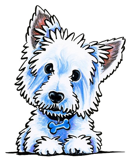 446x550 Westie Wesley Photographic Print