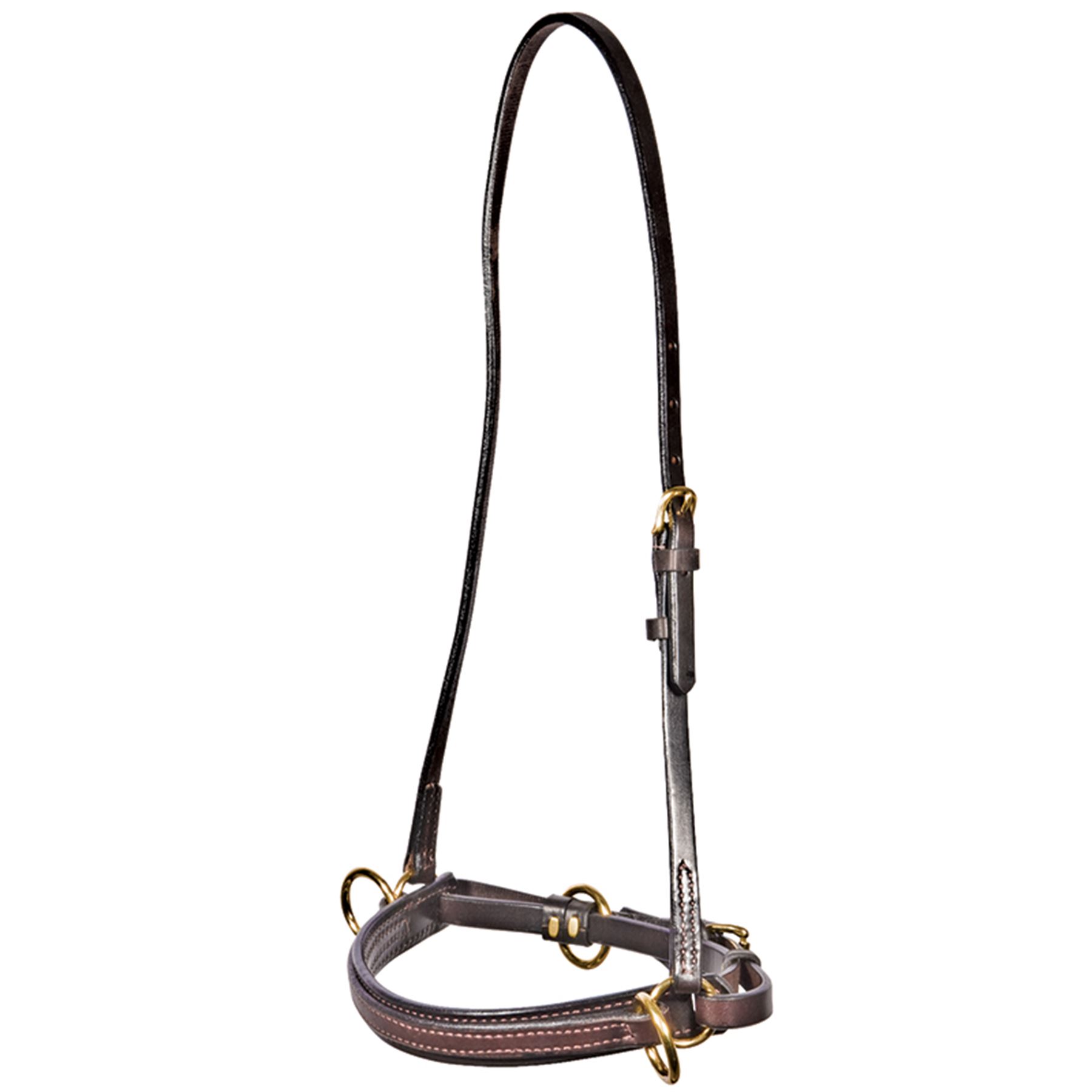 1800x1800 Double S Draw Tite Lunging Caveson In Western