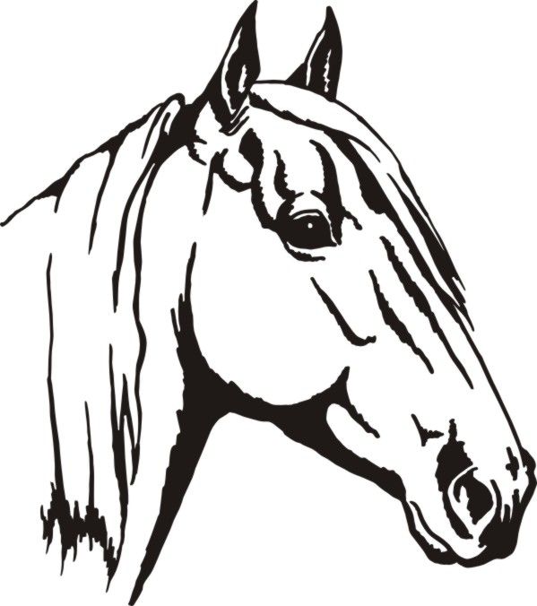 599x676 Svgs Horse Drawings, Horse Silhouette