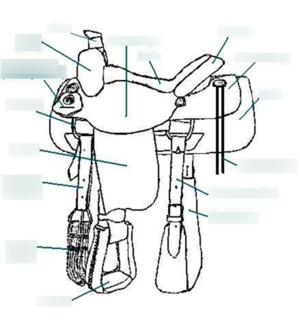 439x478 Horsemanship I Final