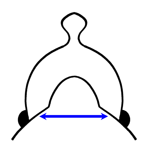600x600 Western Saddle Fitting And Different Tree Sizes Excellent