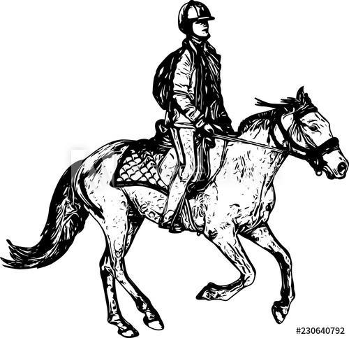 500x483 Horse Riding Sketch Drawing