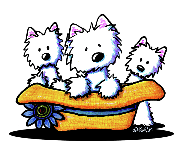 600x527 Westie Drawing Puppy Transparent Png Clipart Free Download