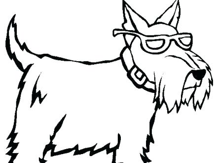 440x330 Dogs Westies Library Westie Coloring Pages Betterfor