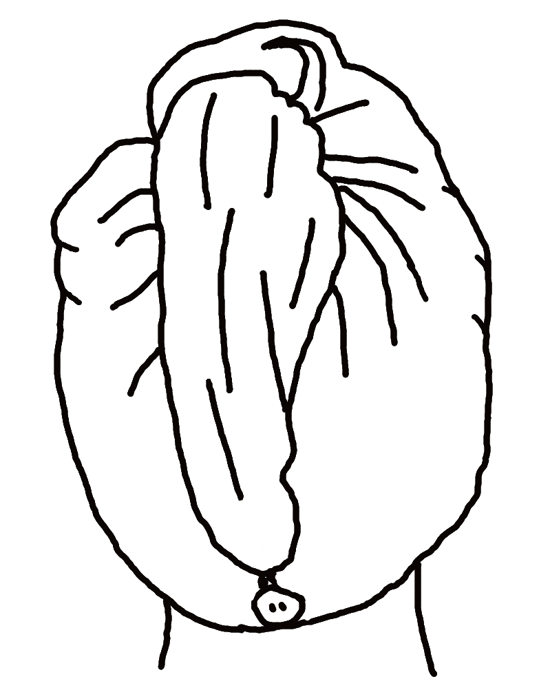 799x1002 Hair Towel Turban