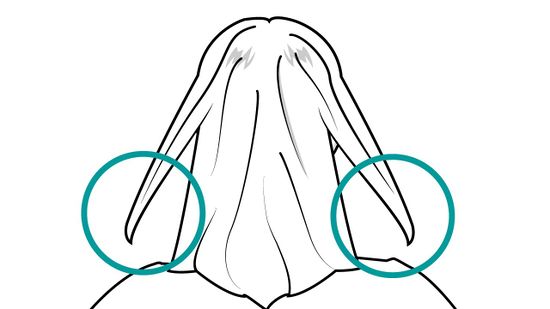 550x309 Easy Ways To Make A Bun In Medium Layered Hair