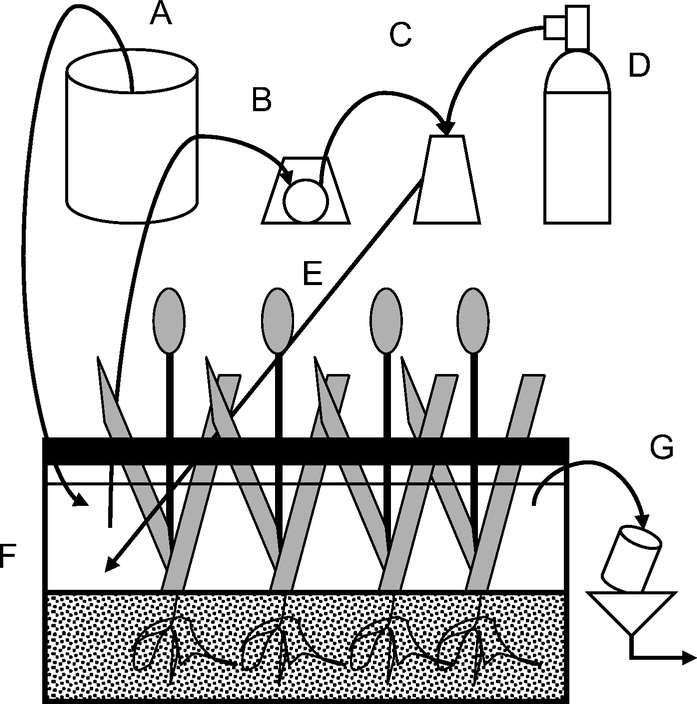 697x704 High Rates Of Ammonia Removal In Experimental Oxygen Activated