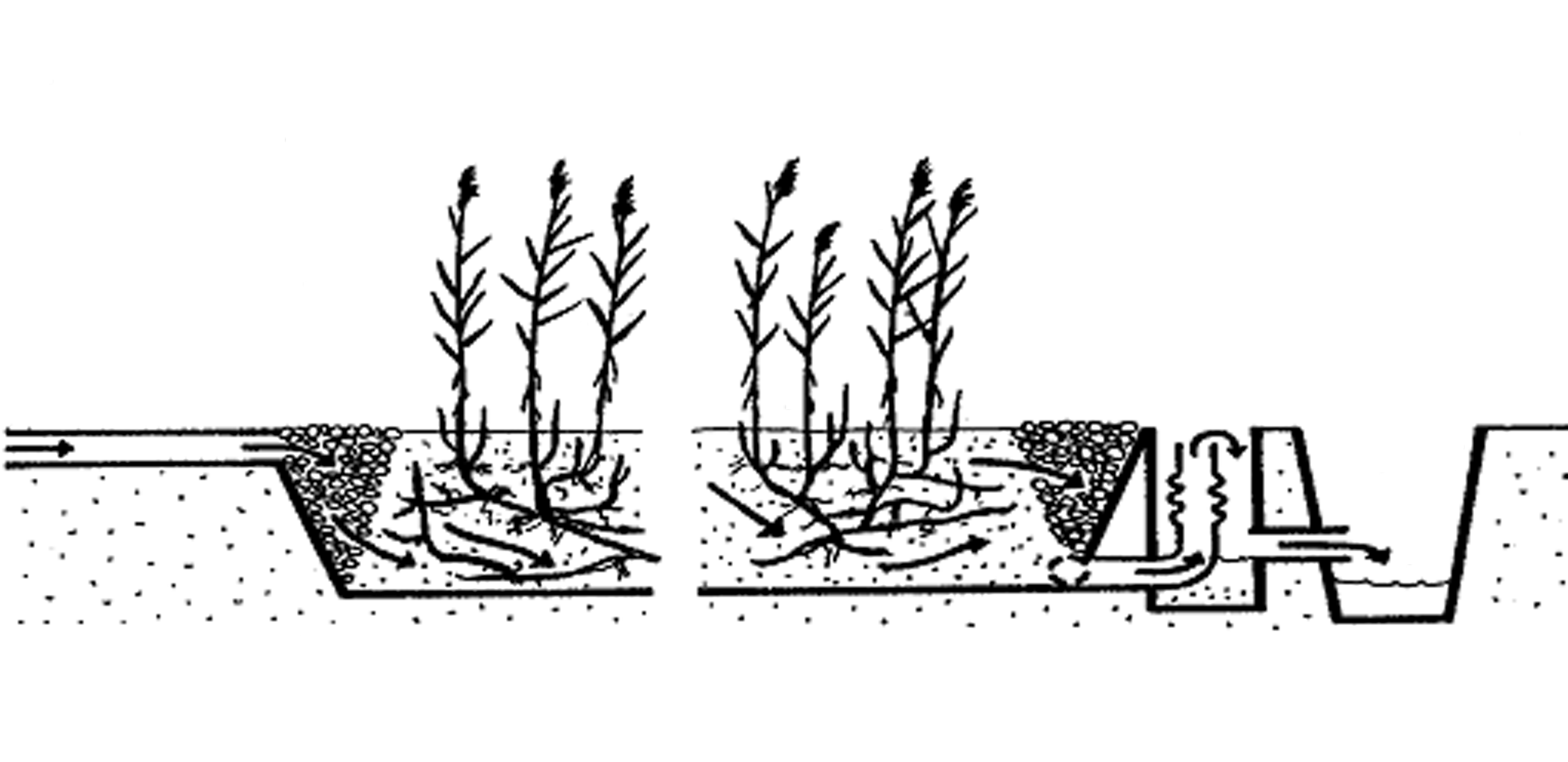 3740x1819 Nutrients And Organic Matter Removal In A Vertical Flow