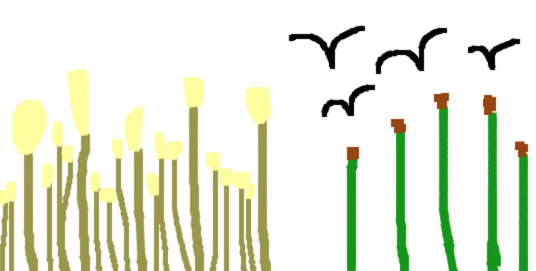 1072x542 rachel hager on twitter a hilarious minute distraction