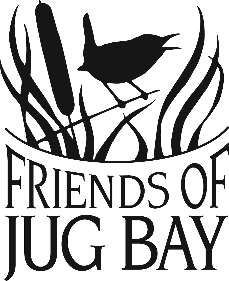 906x1109 welcome to jug bay wetlands sanctuary! jug bay wetlands sanctuary