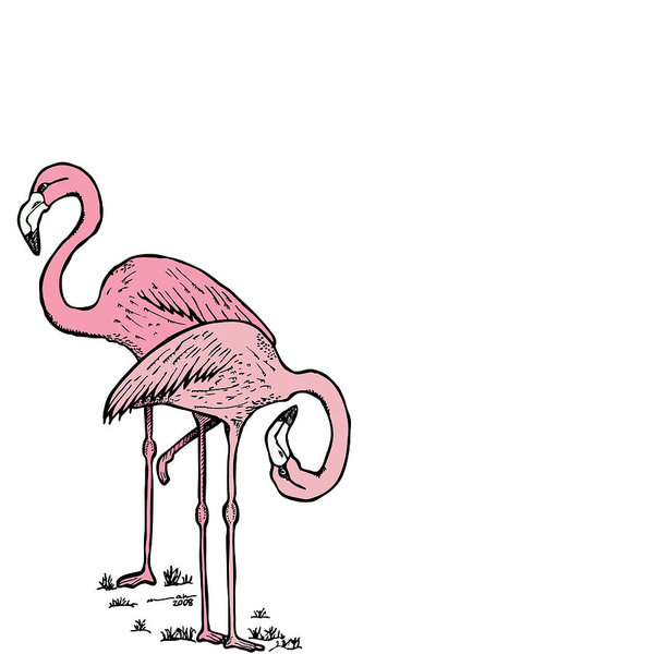 600x600 wetland drawings