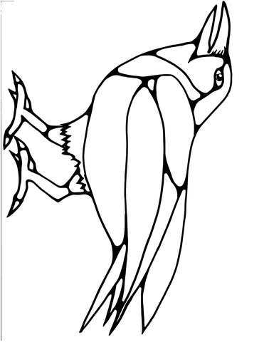 371x480 Wildlife Educational Coloring Book