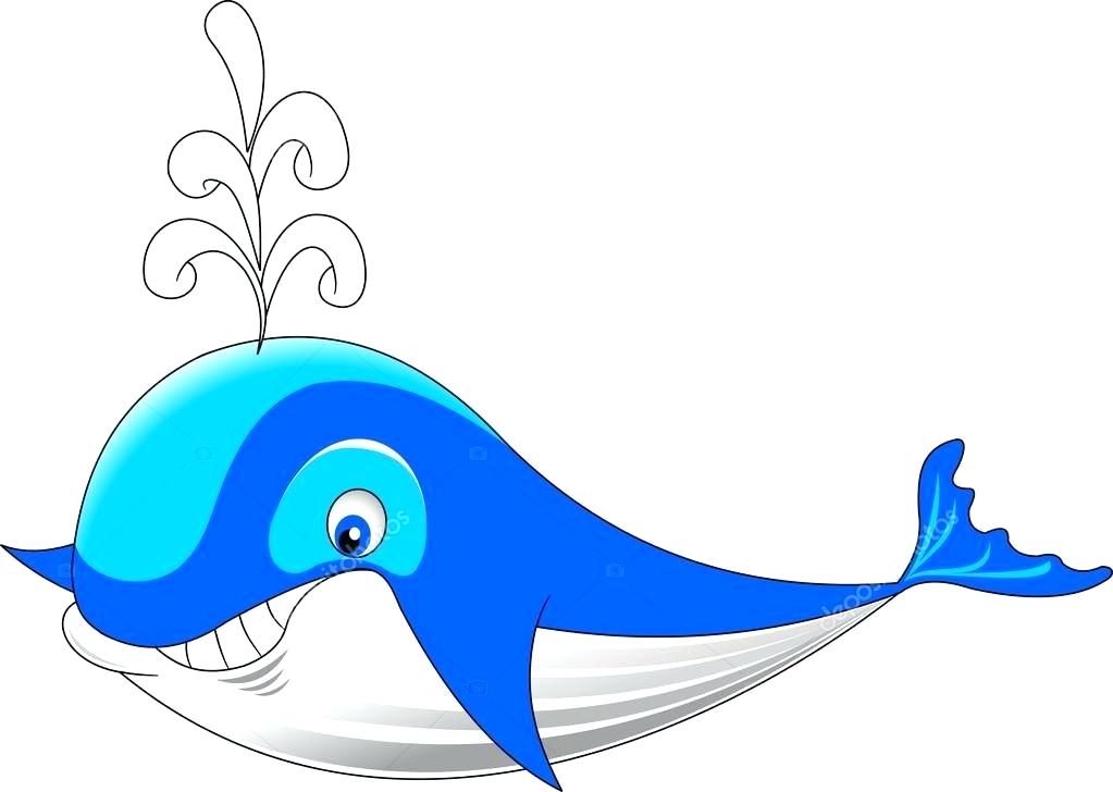 1023x728 Draw A Whale How To Draw A Killer Whale Draw Whale Cartoon