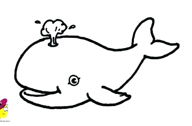 640x420 How Do You Draw A Whale Draw Whale Shark