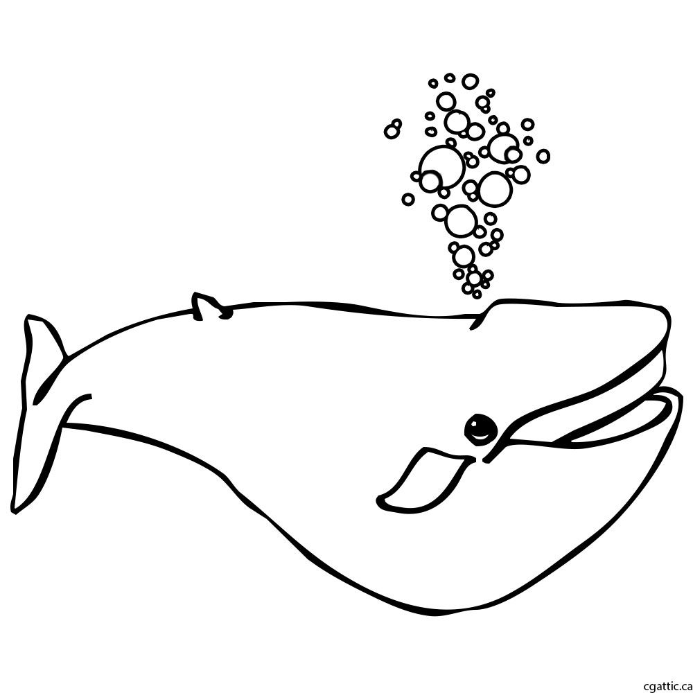 1000x1000 Whale Cartoon Drawing In Steps With Photoshop In Arts