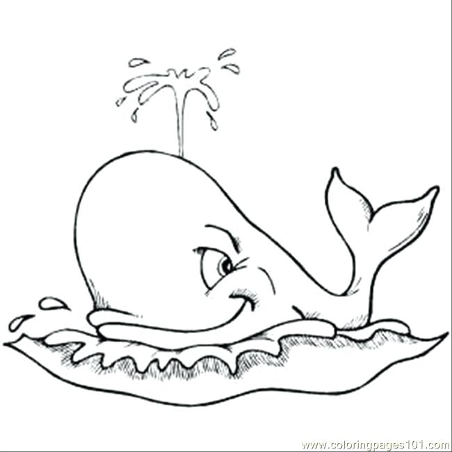 650x650 Draw A Whale