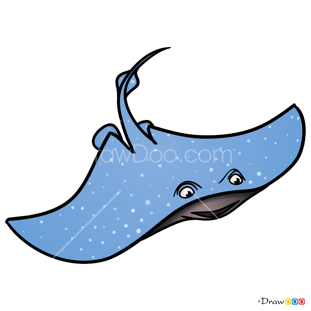 998x998 Drawing Dory Whale Transparent Png Clipart Free Download
