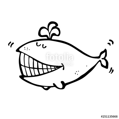 500x500 Whale Drawing Stock Image And Royalty Free Vector