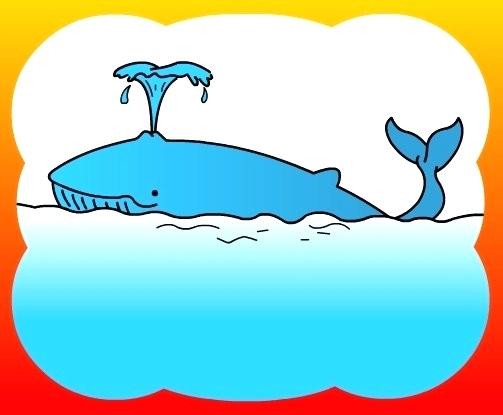503x415 How To Draw A Whale