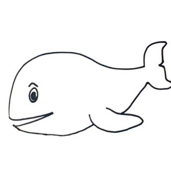 Whale Drawing Cute