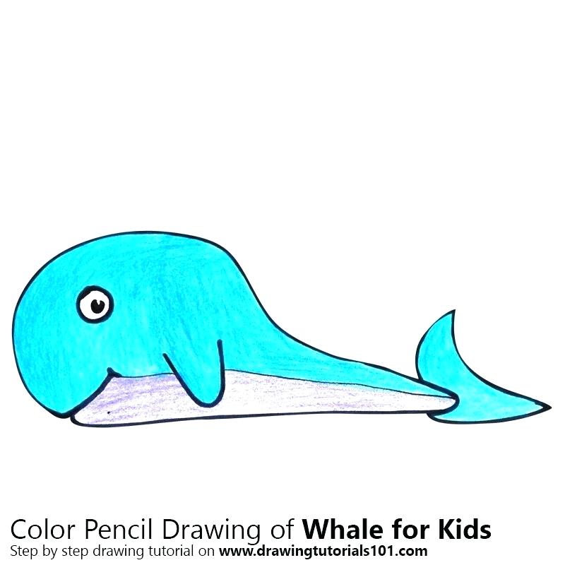 Whale Drawing Cute | Free download on ClipArtMag