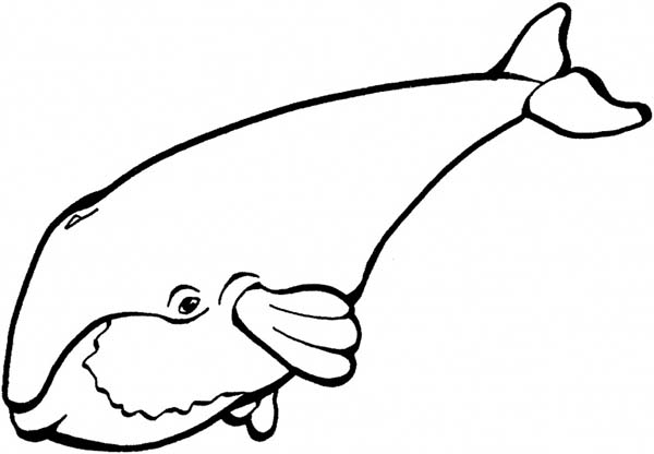 600x416 Cute Drawing Of A Blue Whale Coloring Page