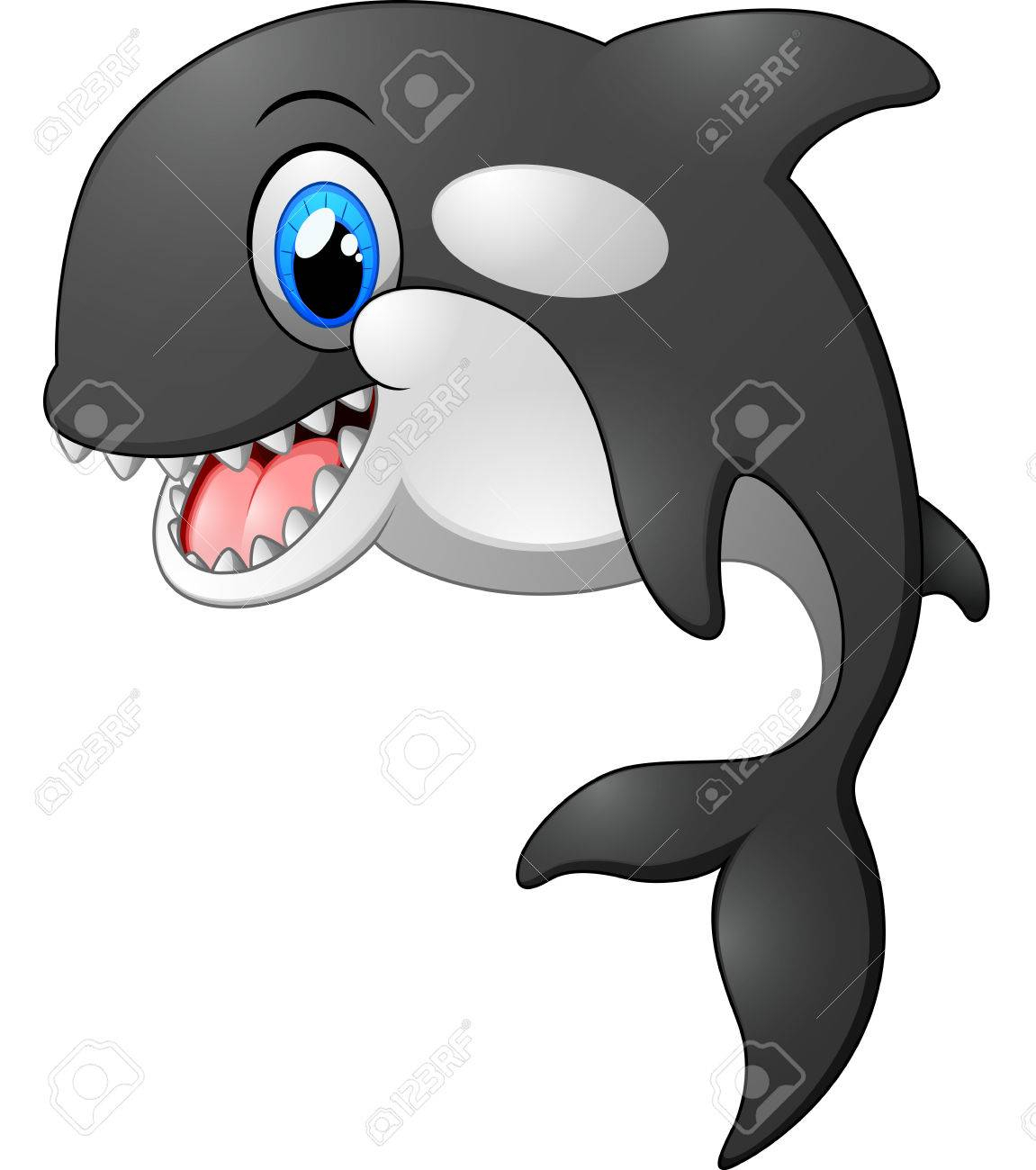 1151x1300 Cute Killer Whale Drawing Cute Killer Whale Cartoon Royalty Free