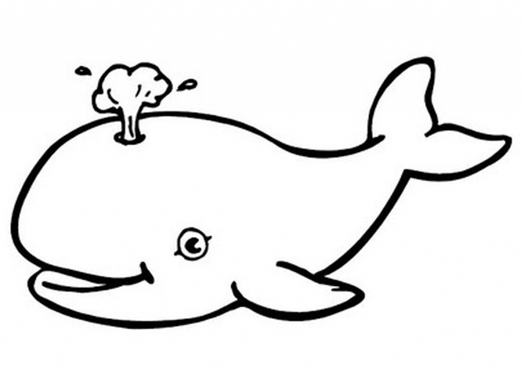 Whale Drawing Easy