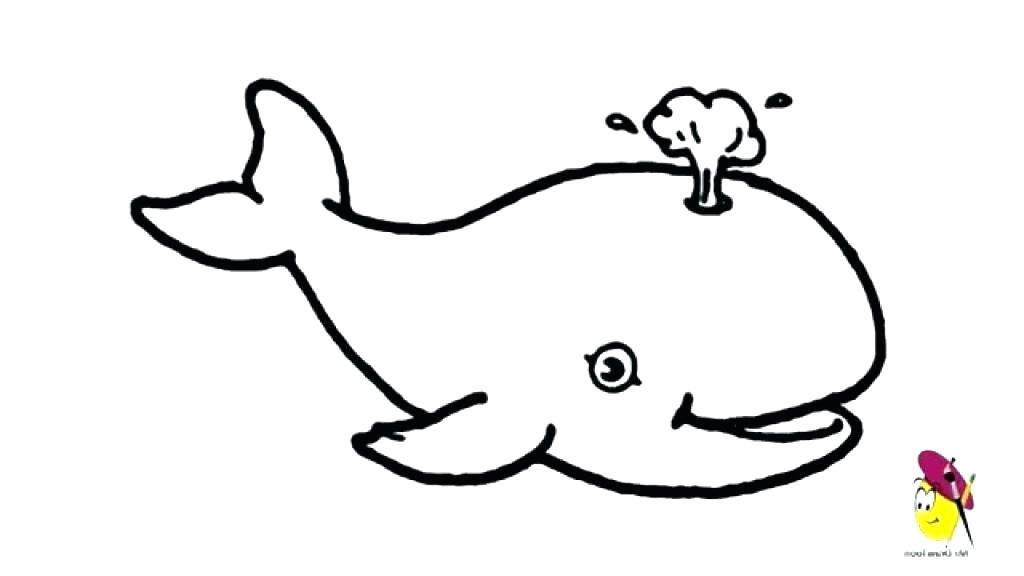 1024x576 Easy Whale Drawing How To Draw Whales Easy Blue Whale Drawing