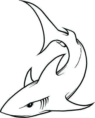325x400 Shark Drawings Step