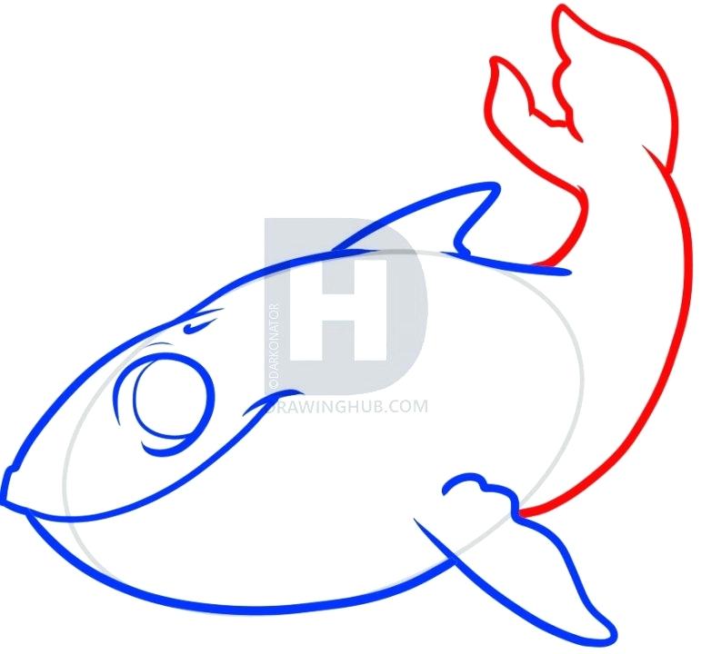 771x720 How To Draw Whales