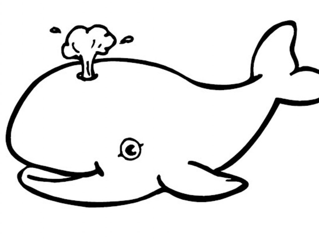Whale Drawing For Kids