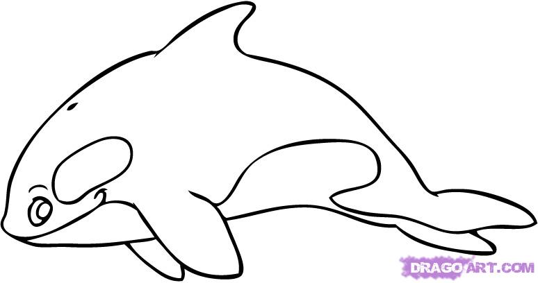 774x408 Draw A Cartoon Killer Whale, Step