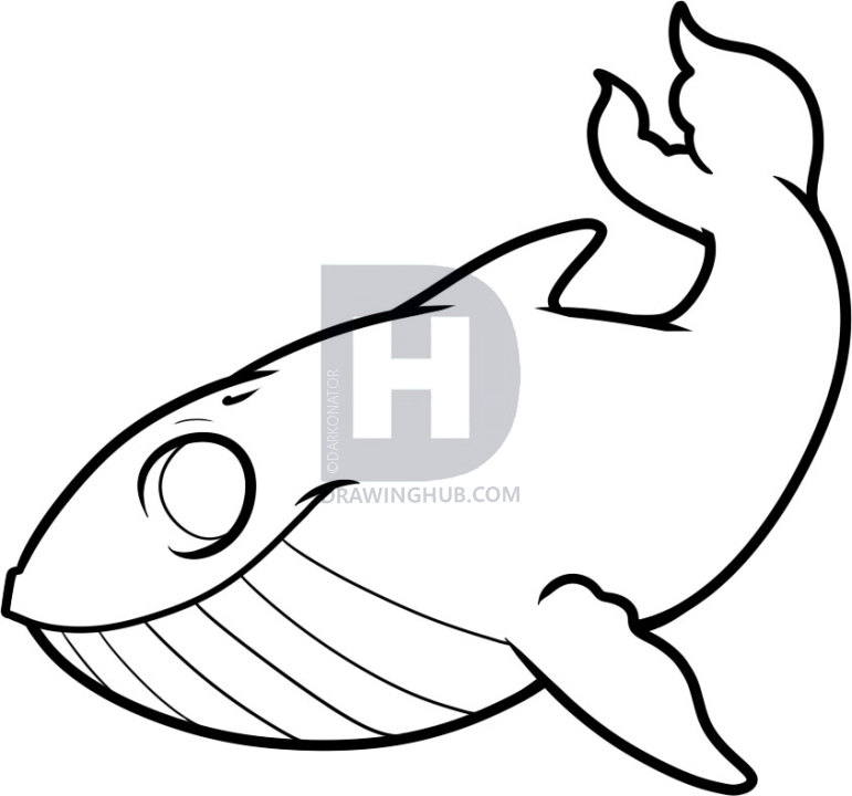 771x720 How To Draw A Whale For Kids, Step