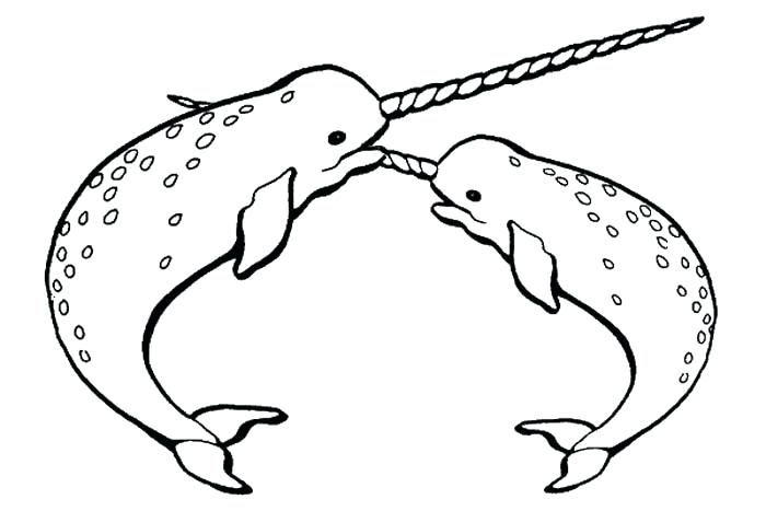 700x467 How To Draw A Whale Step