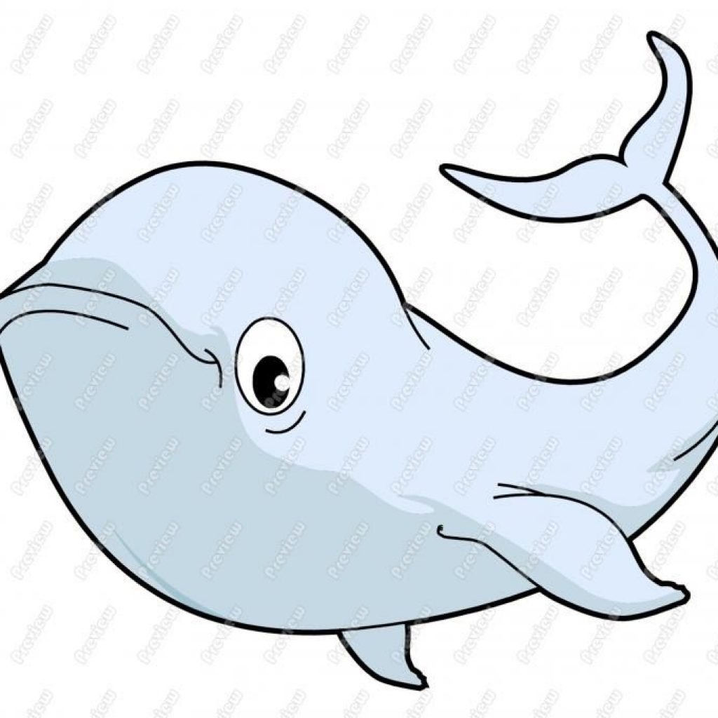 1024x1024 Whale Cartoon Drawing Camping Clipart House Clipart Online Download