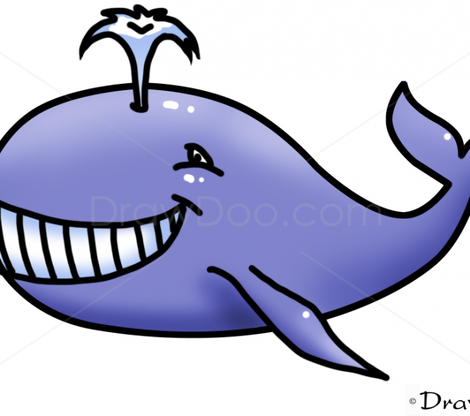 678x600 Whale Pictures For Kids Collection Of Blue Whale Drawing