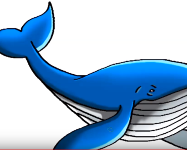 370x297 Whale Drawing For Kids Archives
