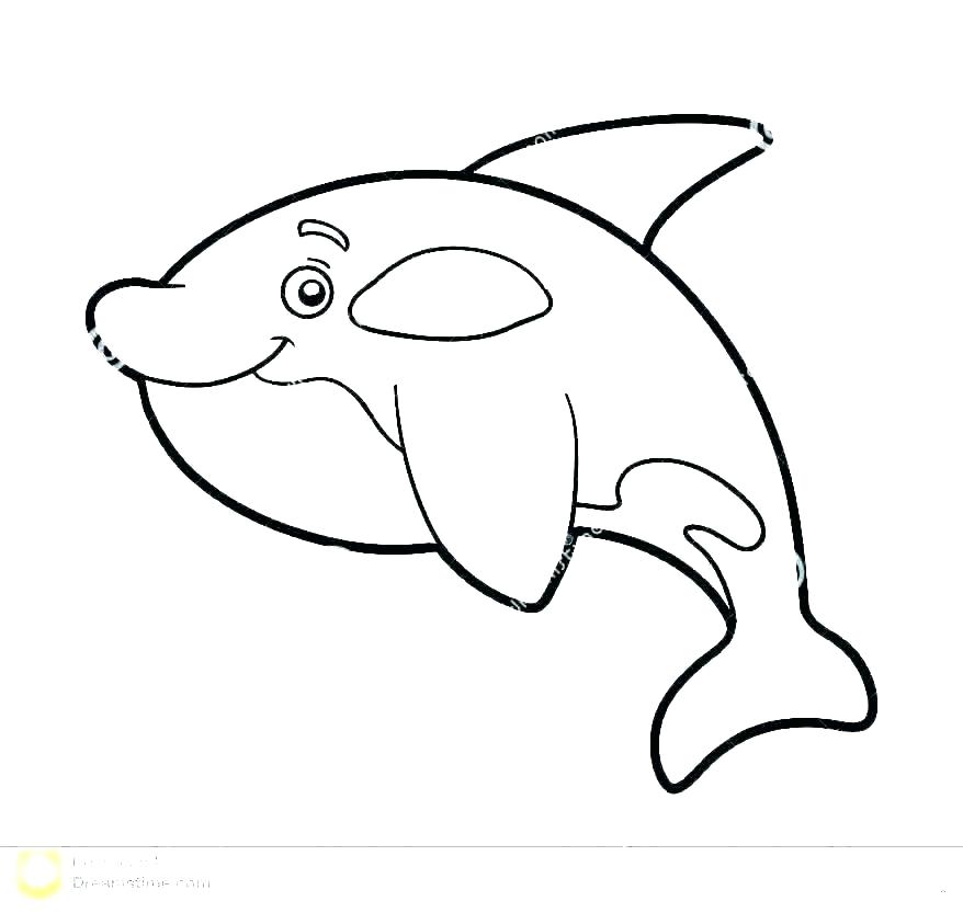 878x833 Coloring Pictures Of Whales Killer Whale