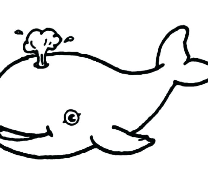 678x600 How To Draw A Whale Whale Drawing Cute Whale To Draw