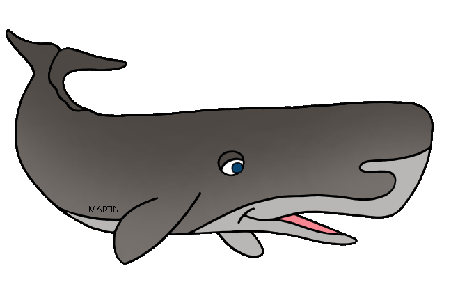 648x405 Mammal Drawing Sperm Whale, Picture
