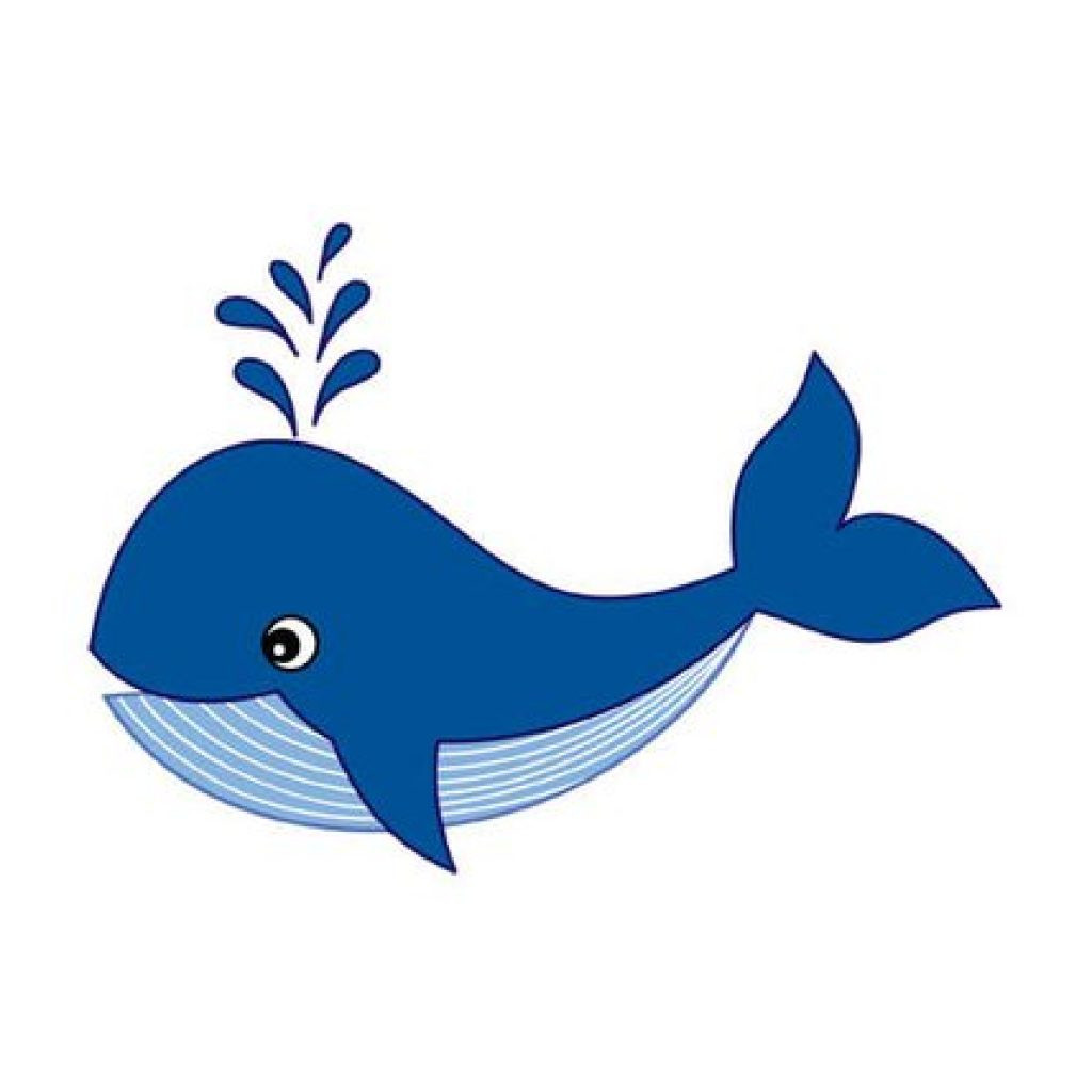1024x1024 Whale Cartoon Drawing Fireworks Clipart Unique Whale Clipart